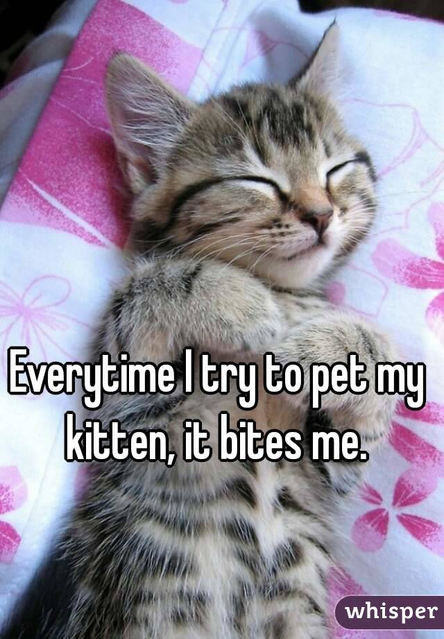 Everytime I try to pet my kitten, it bites me. 