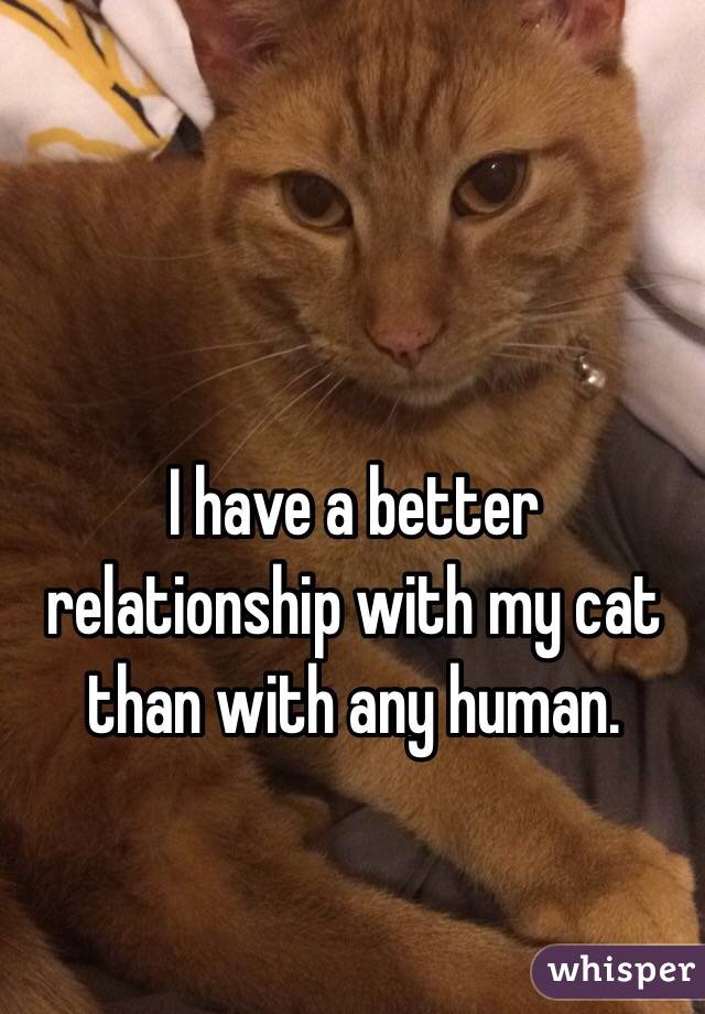 I have a better relationship with my cat than with any human.