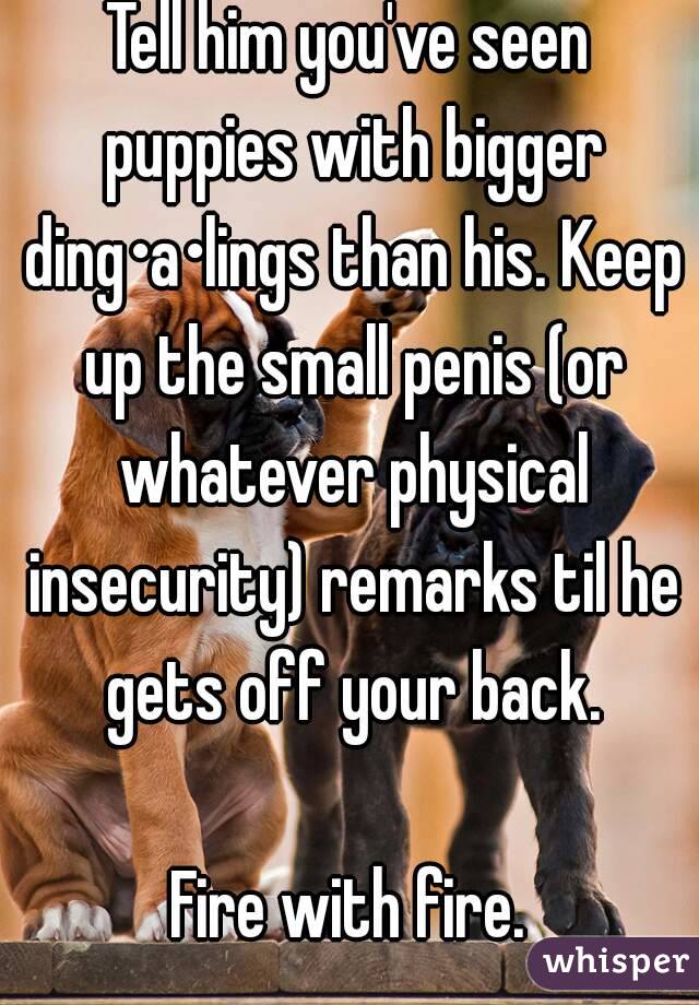 Tell him you've seen puppies with bigger ding•a•lings than his. Keep up the small penis (or whatever physical insecurity) remarks til he gets off your back.

Fire with fire.