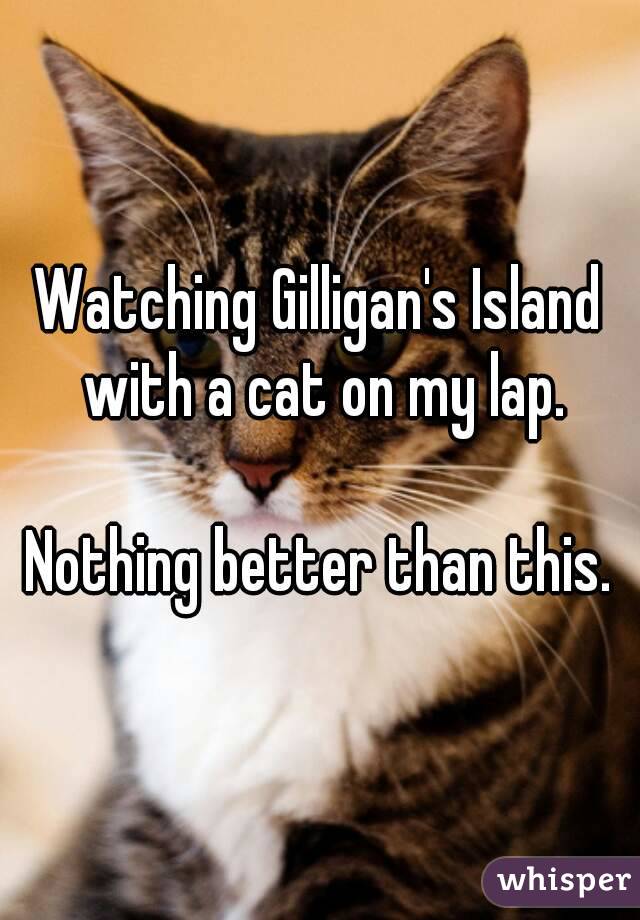 Watching Gilligan's Island with a cat on my lap.

 Nothing better than this. 