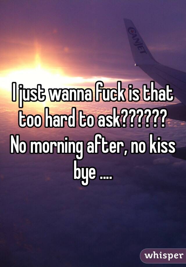 I just wanna fuck is that too hard to ask?????? 
No morning after, no kiss bye ....