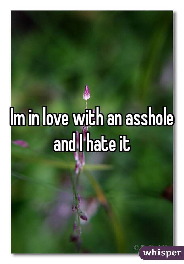 Im in love with an asshole and I hate it