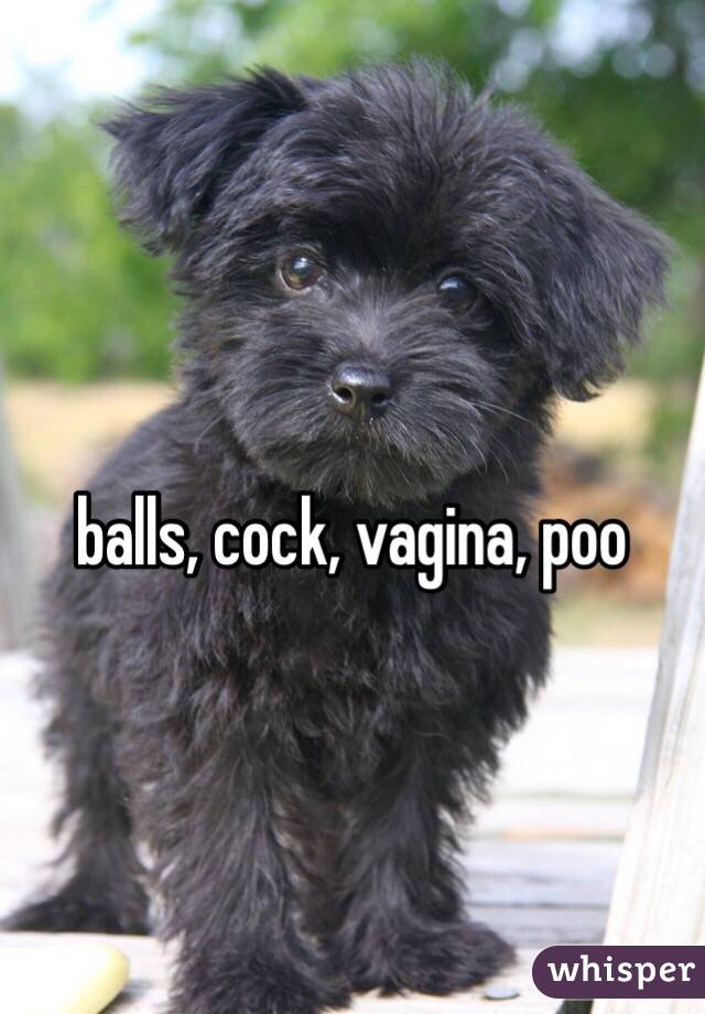 balls, cock, vagina, poo