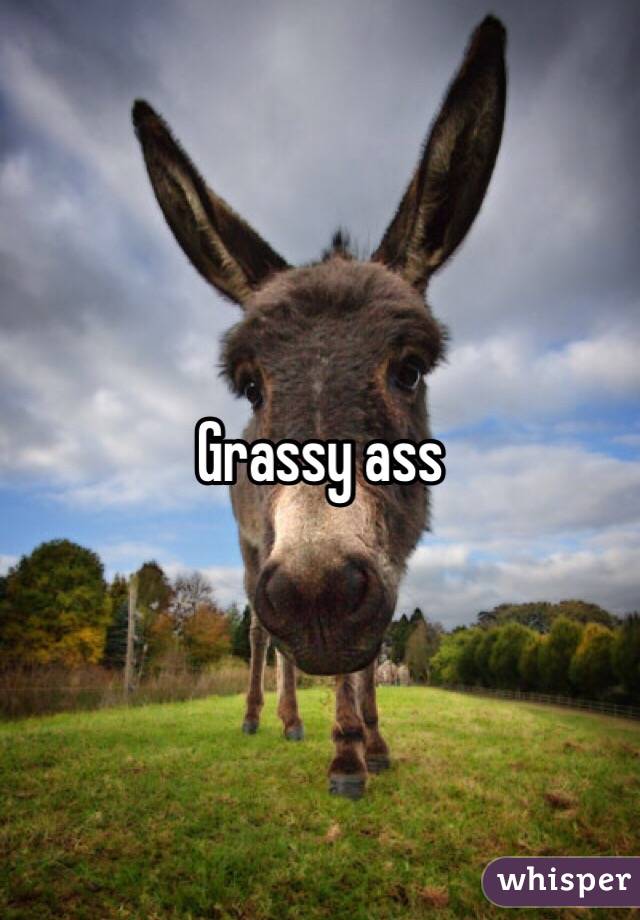 Grassy ass