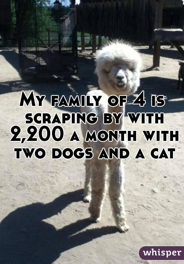 My family of 4 is scraping by with 2,200 a month with two dogs and a cat