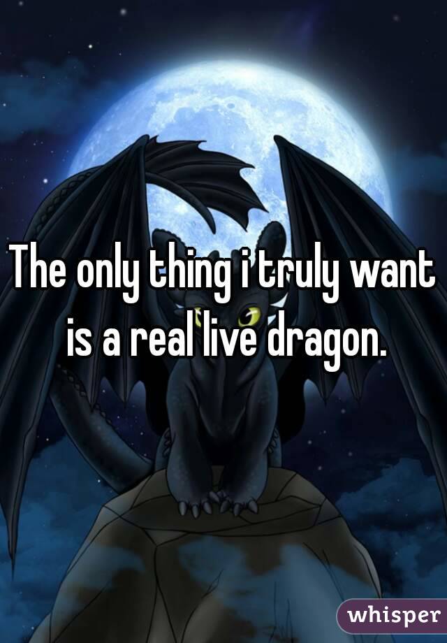 The only thing i truly want is a real live dragon.