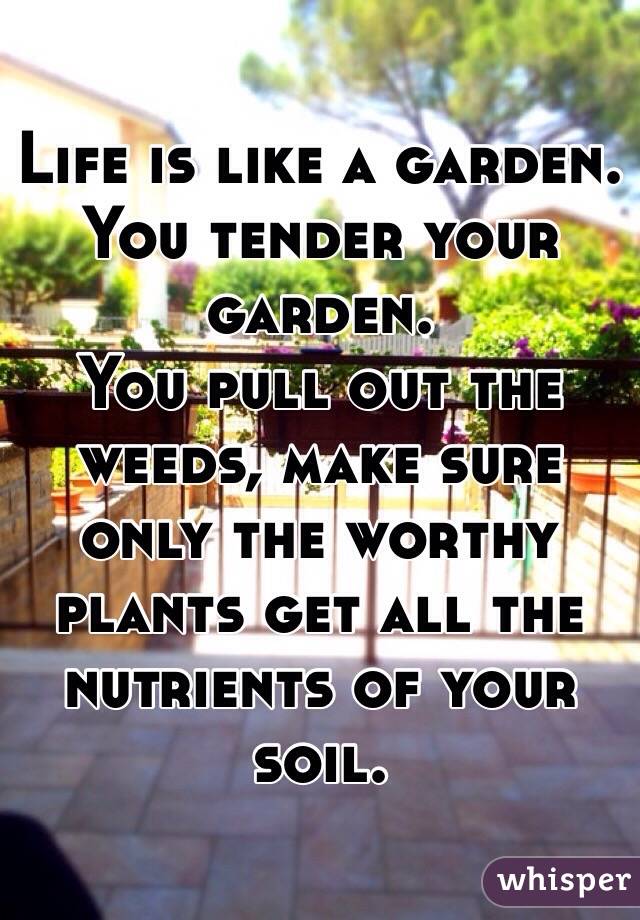 Life is like a garden.
You tender your garden.
You pull out the weeds, make sure only the worthy plants get all the nutrients of your soil.
