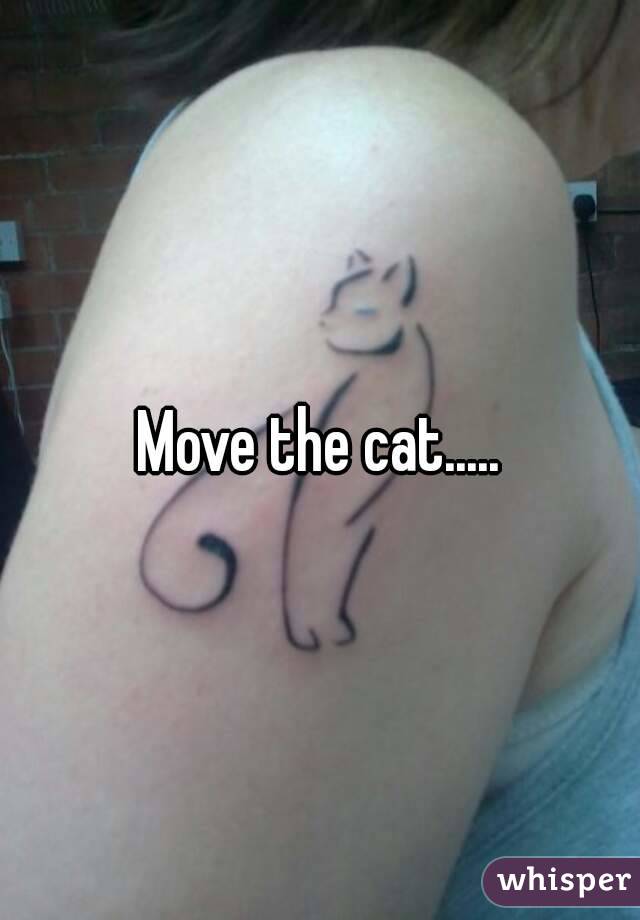 Move the cat.....