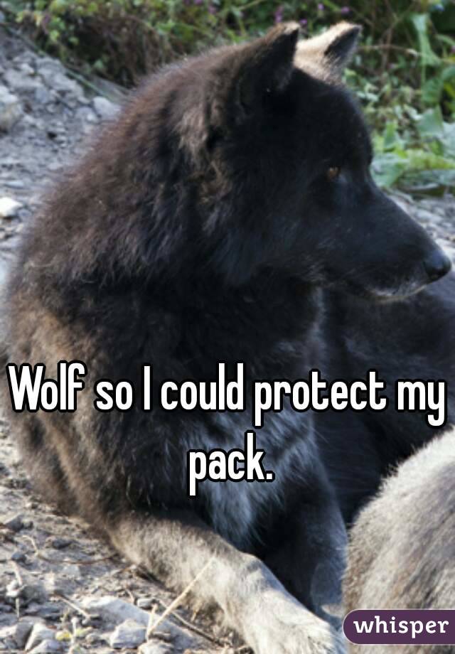 Wolf so I could protect my pack.