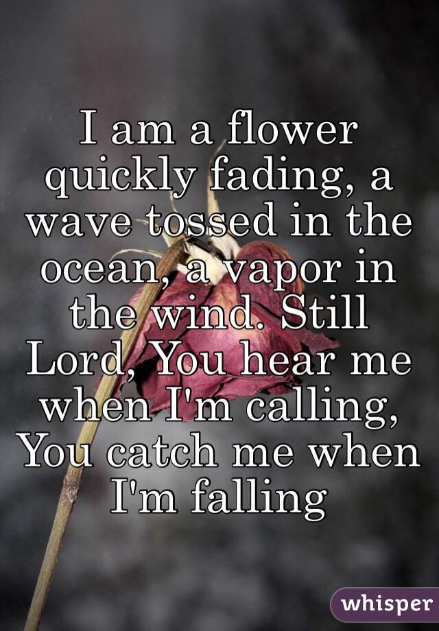 I am a flower quickly fading, a wave tossed in the ocean, a vapor in the wind. Still Lord, You hear me when I'm calling, You catch me when I'm falling