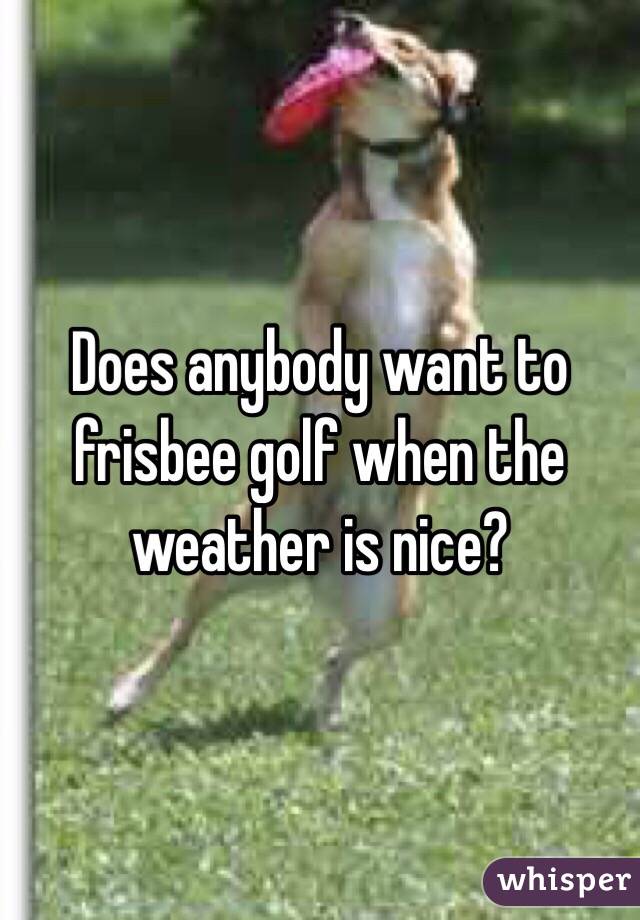 Does anybody want to frisbee golf when the weather is nice? 