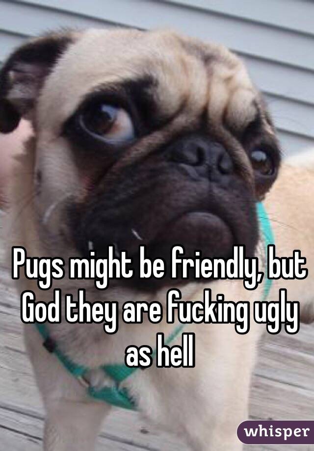 Pugs might be friendly, but God they are fucking ugly as hell