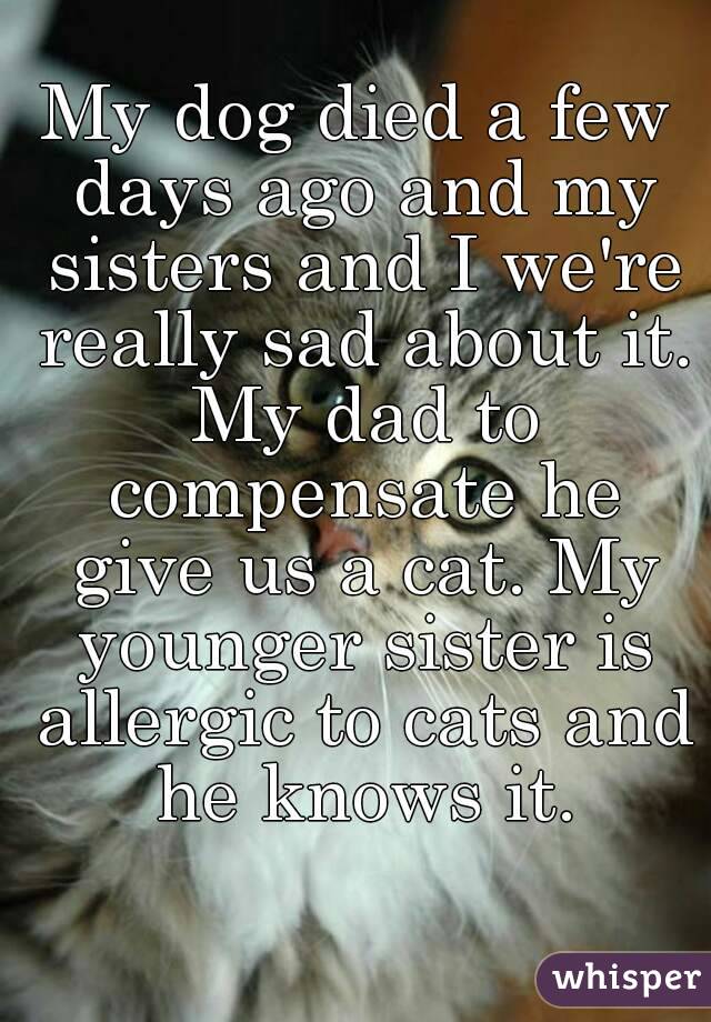 My dog died a few days ago and my sisters and I we're really sad about it. My dad to compensate he give us a cat. My younger sister is allergic to cats and he knows it.