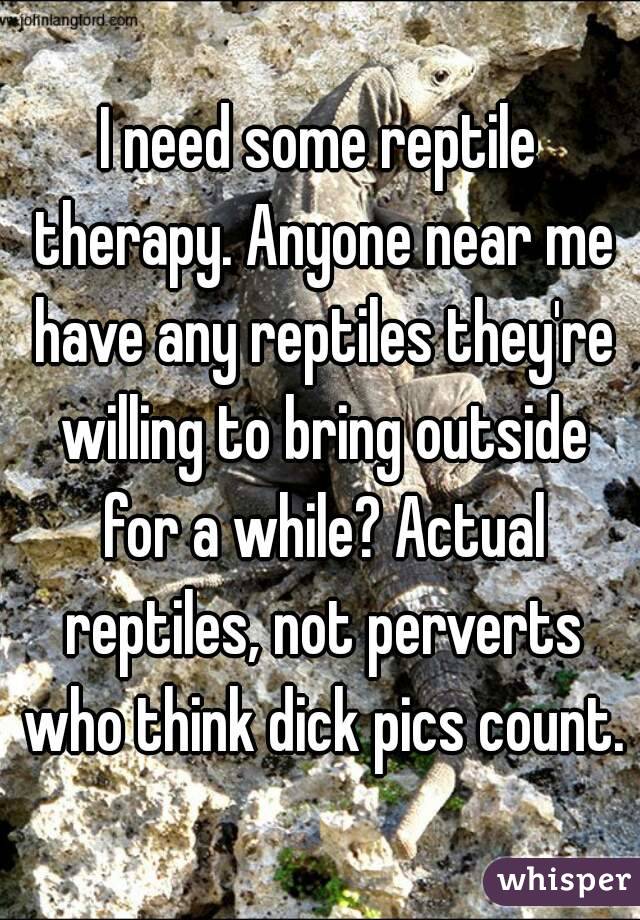 I need some reptile therapy. Anyone near me have any reptiles they're willing to bring outside for a while? Actual reptiles, not perverts who think dick pics count.