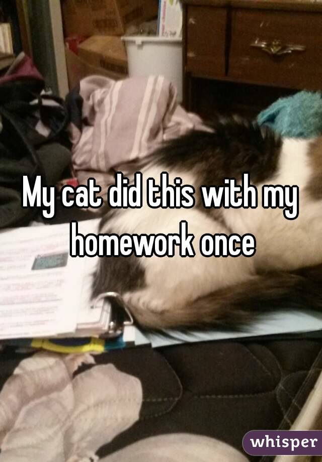 My cat did this with my homework once