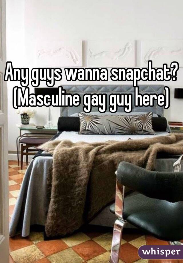 Any guys wanna snapchat? (Masculine gay guy here) 