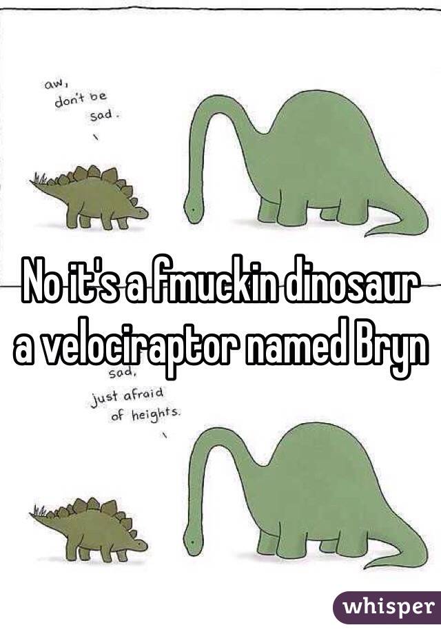 No it's a fmuckin dinosaur a velociraptor named Bryn
