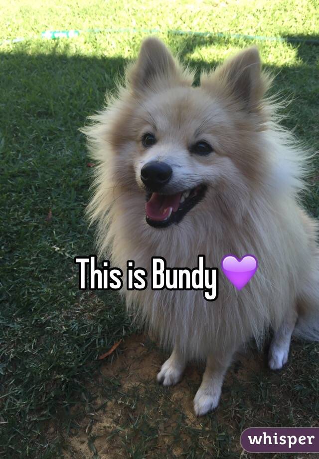 This is Bundy💜
