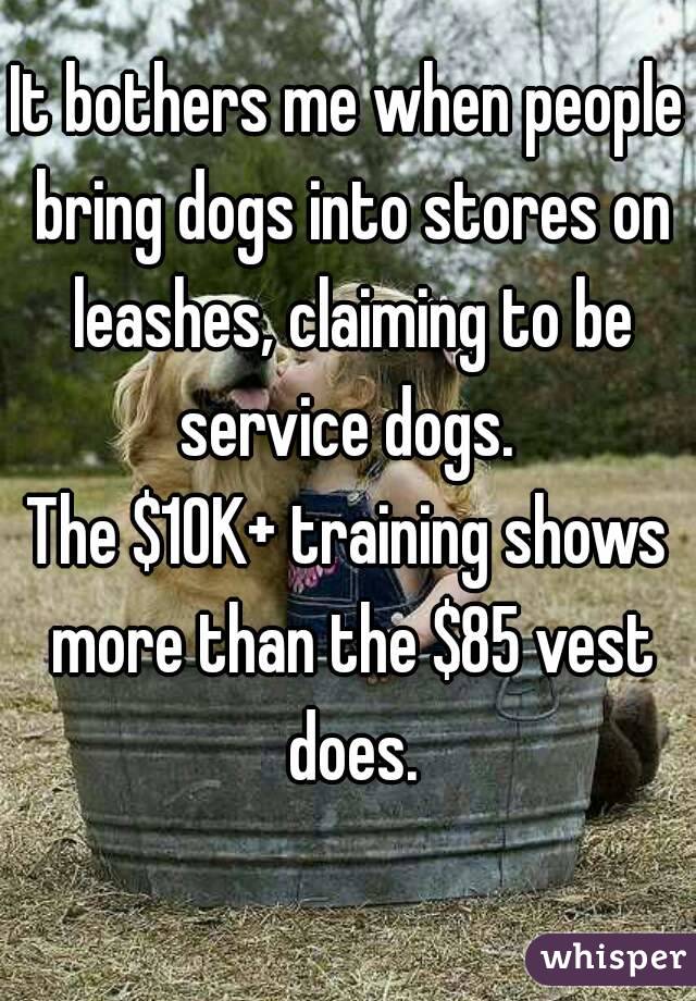 It bothers me when people bring dogs into stores on leashes, claiming to be service dogs. 
The $10K+ training shows more than the $85 vest does.
