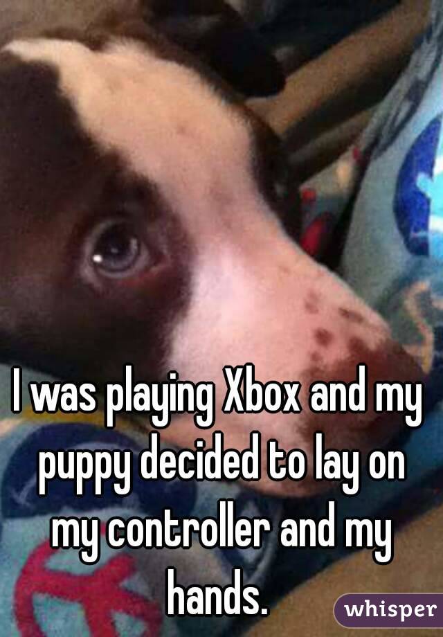 I was playing Xbox and my puppy decided to lay on my controller and my hands. 