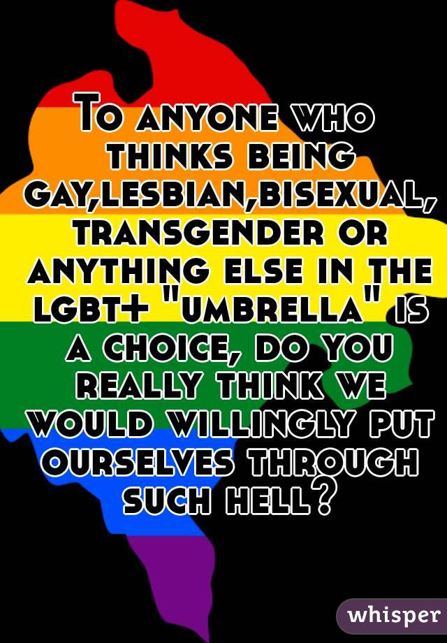 To anyone who thinks being gay,lesbian,bisexual, transgender or anything else in the lgbt+ "umbrella" is a choice, do you really think we would willingly put ourselves through such hell?