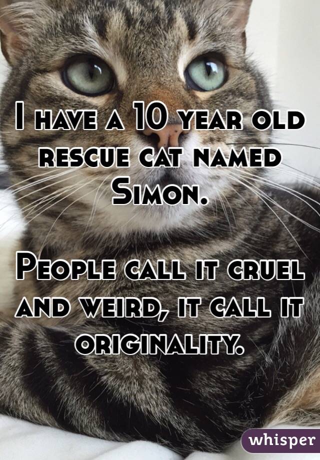 I have a 10 year old rescue cat named Simon.

People call it cruel and weird, it call it originality.