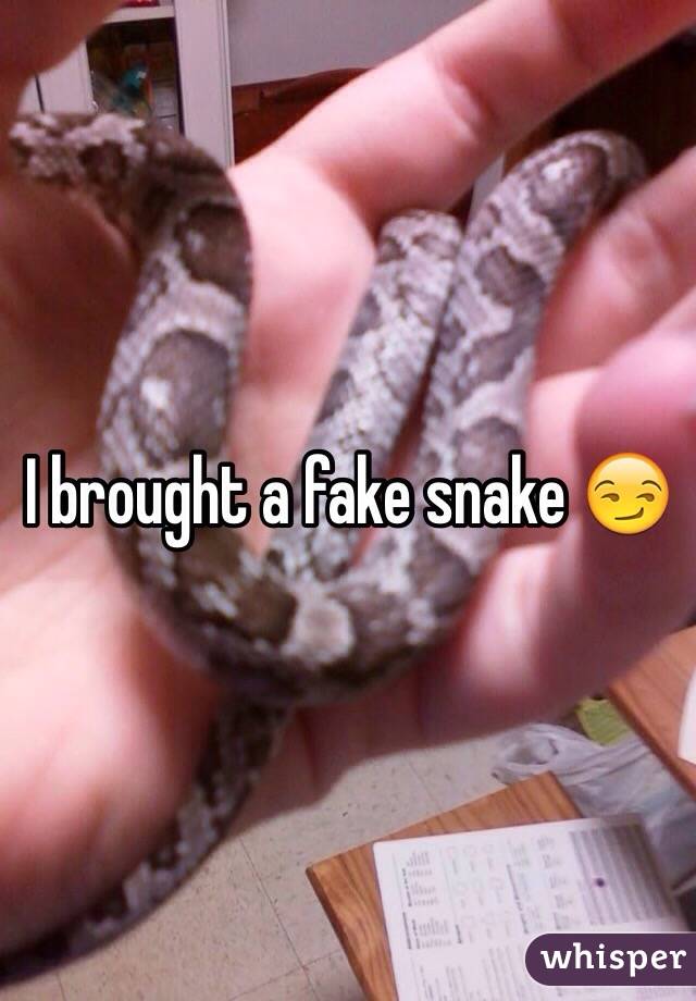 I brought a fake snake 😏