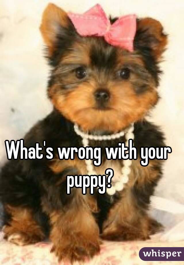 What's wrong with your puppy?