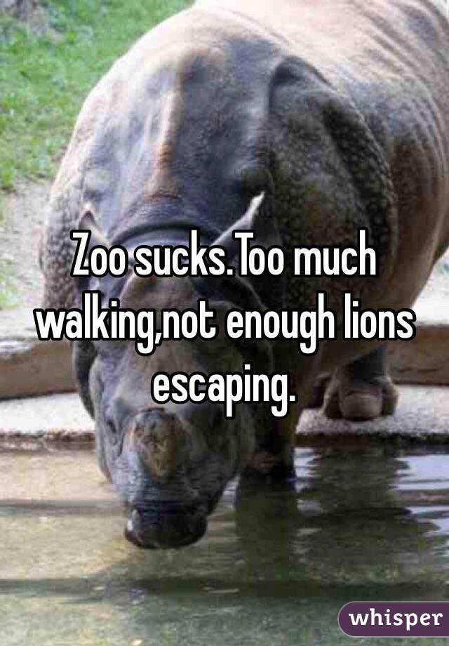 Zoo sucks.Too much walking,not enough lions escaping.