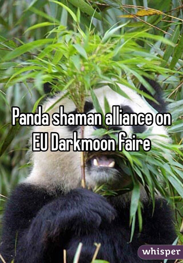 Panda shaman alliance on EU Darkmoon faire 