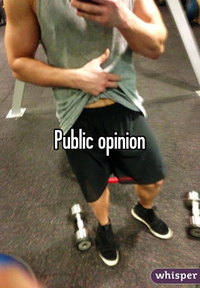 Public opinion 