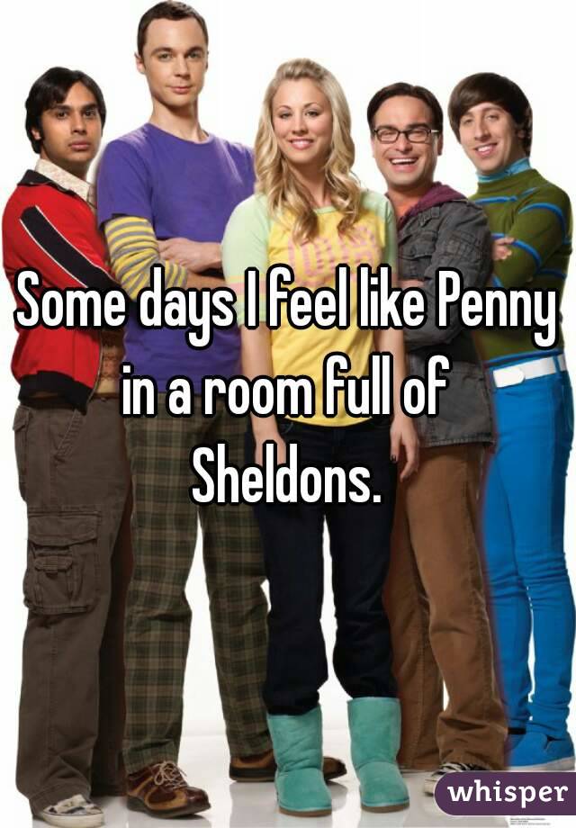 Some days I feel like Penny in a room full of 
Sheldons.
