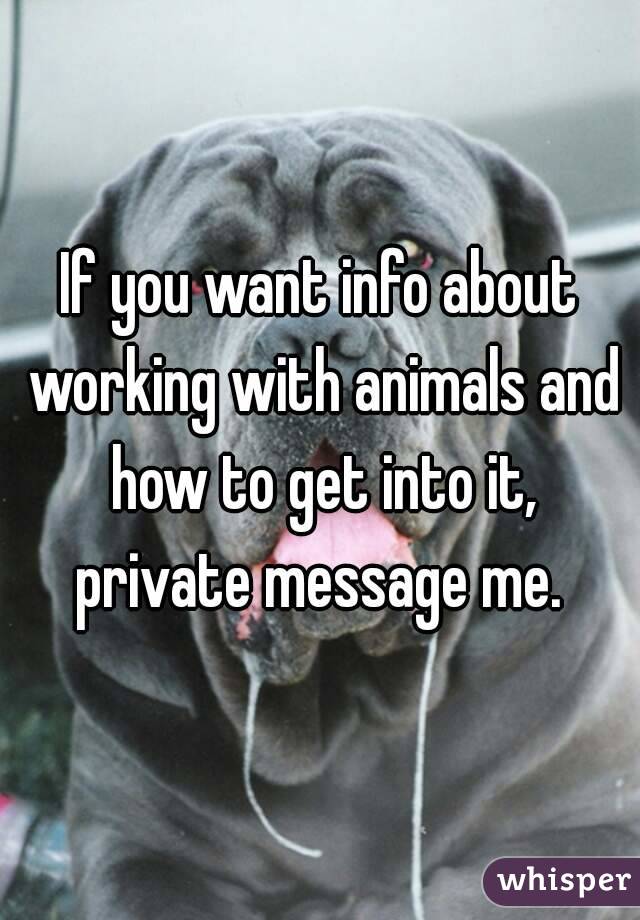If you want info about working with animals and how to get into it, private message me. 
