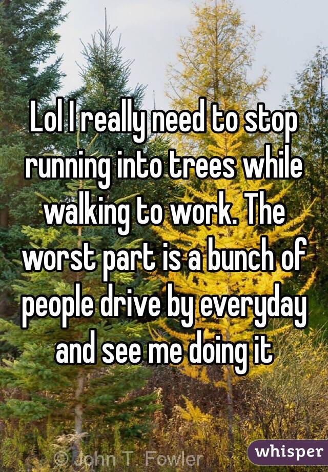 Lol I really need to stop running into trees while walking to work. The worst part is a bunch of people drive by everyday and see me doing it