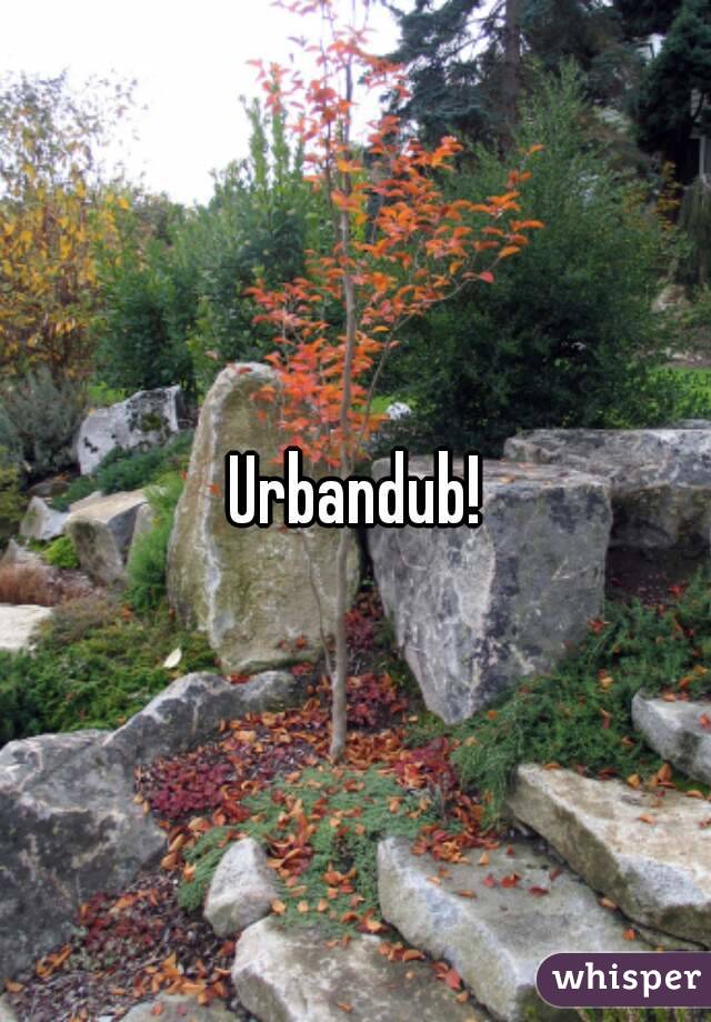 Urbandub!