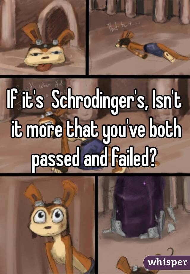 If it's  Schrodinger's, Isn't it more that you've both passed and failed? 