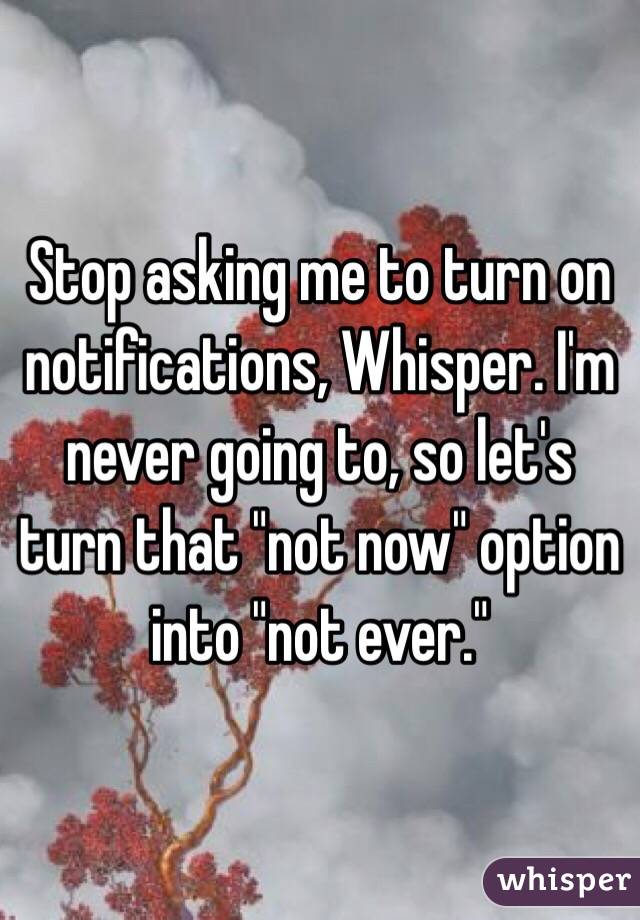 Stop asking me to turn on notifications, Whisper. I'm never going to, so let's turn that "not now" option into "not ever."