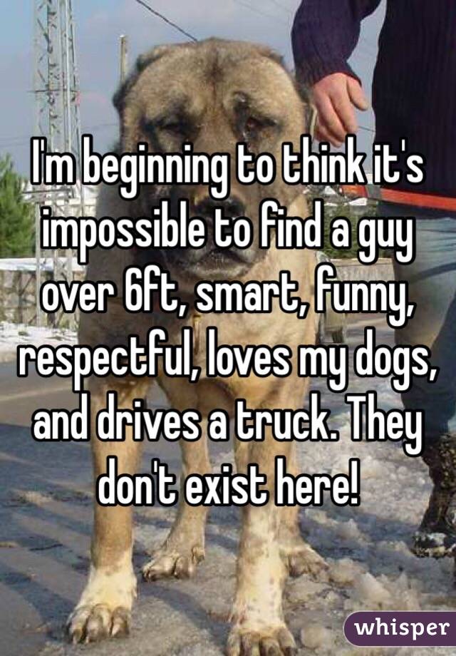 I'm beginning to think it's impossible to find a guy over 6ft, smart, funny, respectful, loves my dogs, and drives a truck. They don't exist here! 