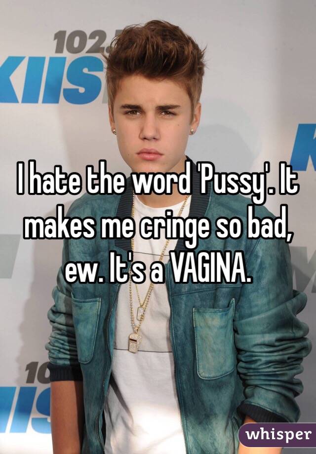 I hate the word 'Pussy'. It makes me cringe so bad, ew. It's a VAGINA.