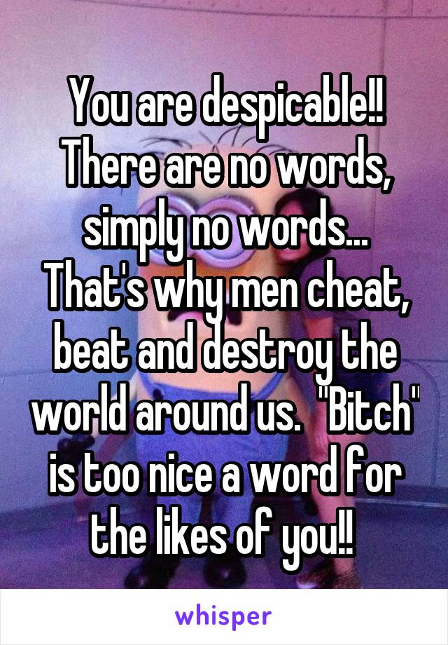 You are despicable!! There are no words, simply no words... That's why men cheat, beat and destroy the world around us.  "Bitch" is too nice a word for the likes of you!! 