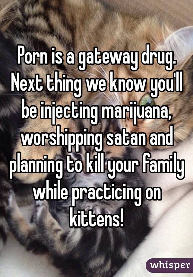 Porn is a gateway drug. Next thing we know you'll be injecting marijuana, worshipping satan and planning to kill your family while practicing on kittens!