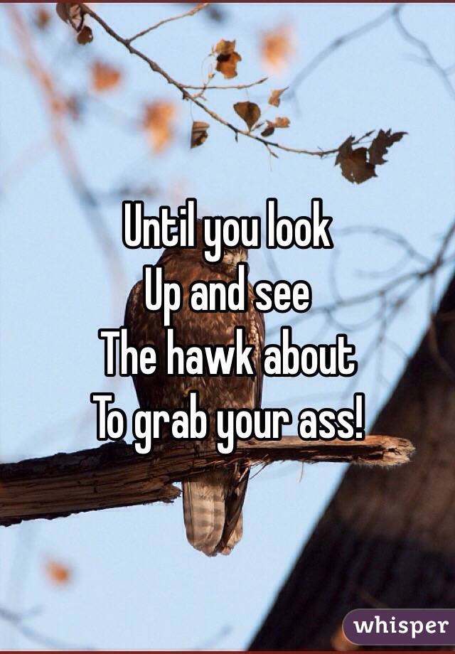 Until you look
Up and see
The hawk about
To grab your ass!