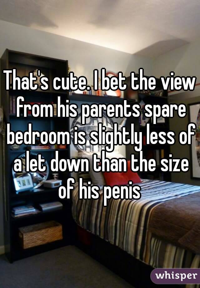 That's cute. I bet the view from his parents spare bedroom is slightly less of a let down than the size of his penis 