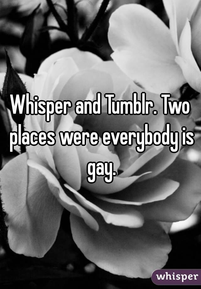 Whisper and Tumblr. Two places were everybody is gay.
