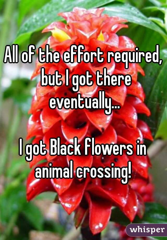 All of the effort required,  but I got there eventually...

I got Black flowers in animal crossing! 