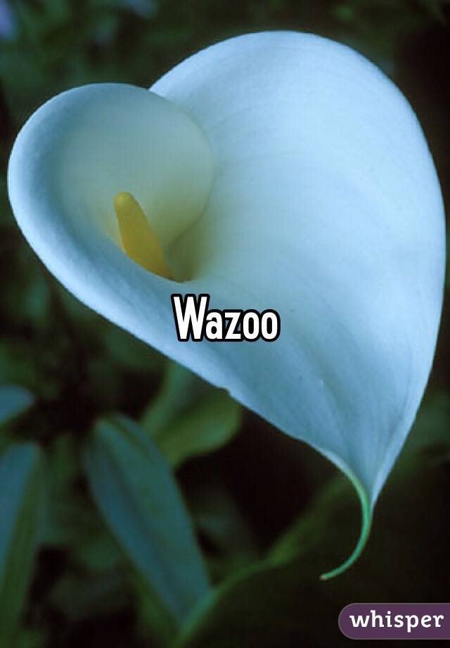 Wazoo 