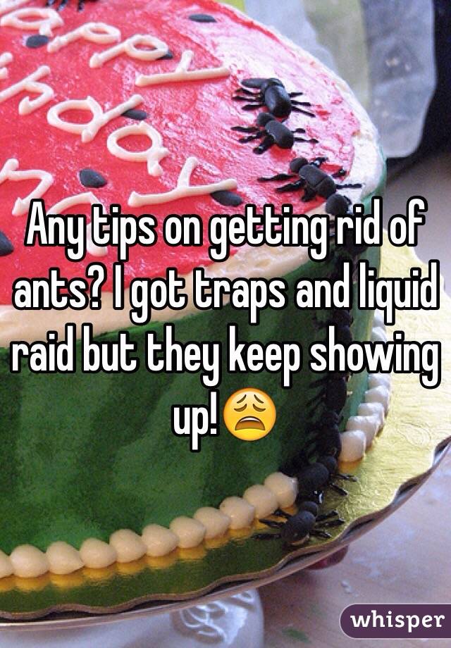 Any tips on getting rid of ants? I got traps and liquid raid but they keep showing up!😩