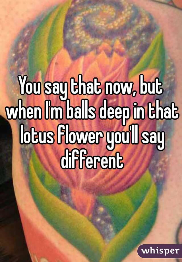 You say that now, but when I'm balls deep in that lotus flower you'll say different