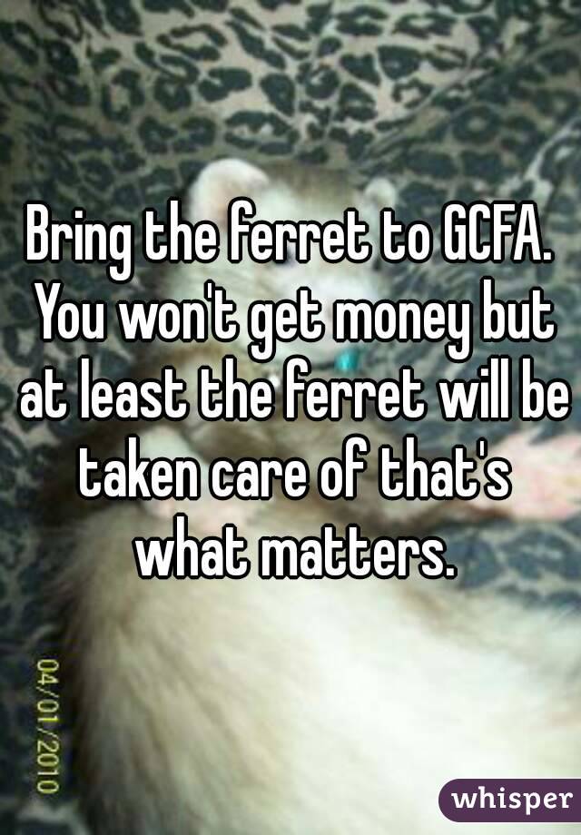 Bring the ferret to GCFA. You won't get money but at least the ferret will be taken care of that's what matters.