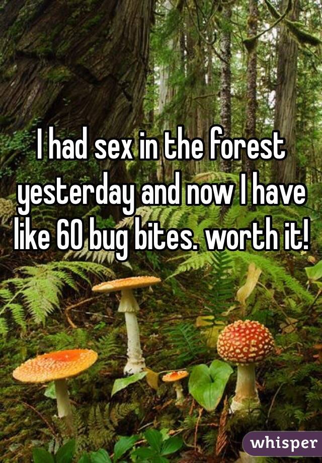 I had sex in the forest yesterday and now I have like 60 bug bites. worth it! 